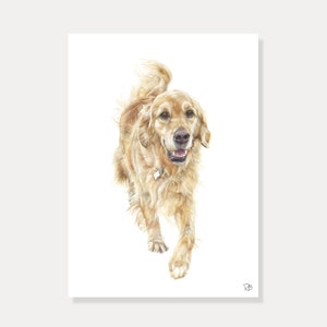 carte chien, carte golden retriever,chien mignon,chien aquarelle,aquarelle,watercolor, déco animaux,peinture animalière,carte postale
