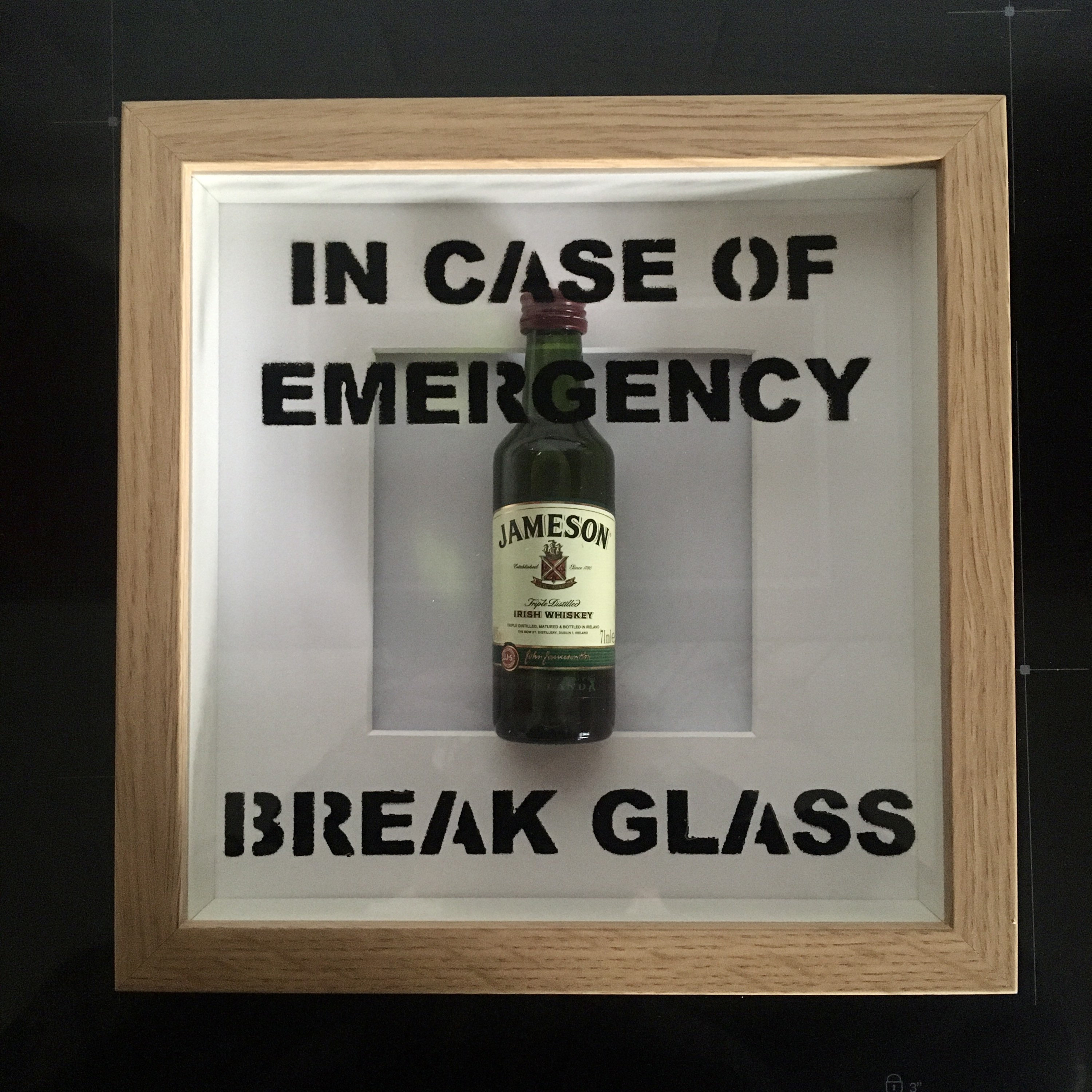 Jameson in Case of Emergency Break Glass Picture. Perfect Gift Etsy