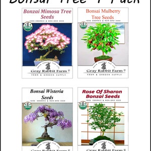 May include: Four seed packets for bonsai trees. Each packet features a photo of a bonsai tree and the name of the tree species. The packets are labeled "100% Organic & Non-GMO Seed" and "Grow Organic for Life Gray Rabbit Farm Farm & Garden Supply".
