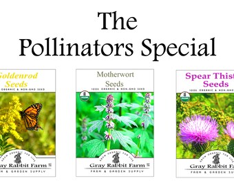 Pollinators Special Seeds