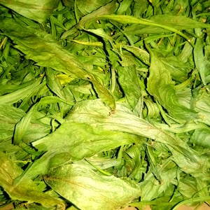 Organic Golden Rod Herb | Golden Rod Herb Tea | Natural | Dried Herbs | Botanical | Natural Herbs  Loose Leaf Tea
