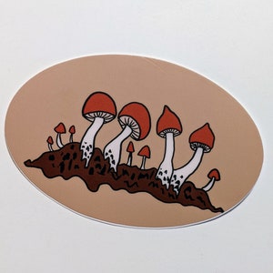 Mushroom cluster Vinyl Sticker