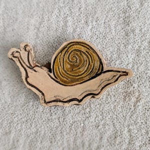 Snail Magnet
