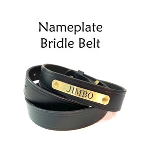 Bridle leather Belt, Brass Nameplate Belt, Bridle Belt, Equestrian Belt, Nameplate Belt, Mens Belt, Womens Belt