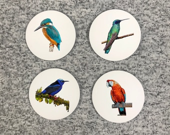 Tropical Bird Coasters, Set of 4, Glossy Coasters with Mahogany Stand