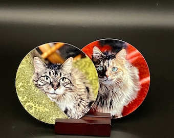 Personalized Photo Coasters, Custom Pet Coasters, Set of 4