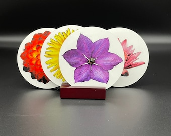 Posavasos de flores brillantes, juego de 4, con soporte de caoba