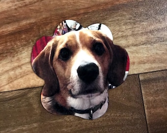 Imán con foto de pata personalizado, imán personalizado