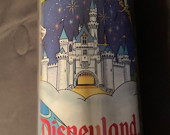Disneyland souvenir stein