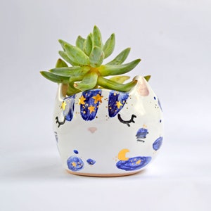 Kattenbak, miniplanter, succulente plantenbak, kinderkamerdecor, keramische plantenbak, housewarmingcadeau, cadeau voor vriend, dierenbak