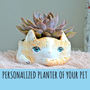 Custom Pet Portrait, Custom Mini Planter, Cat Planter, Personalized Animal Miniature, Animal Planter, Custom Pet, Figurine,Succulent Planter