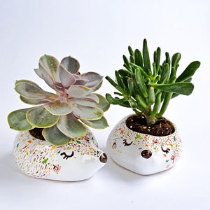 Mini Planter, Fall Decor,  Woodland Nursery Decor, Kids Room Decor, Hedgehog Planter, Housewarming Gift, Mini Planter, Animal Planter