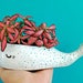 Succulent Planter, Whale Lover Pot, Ceramic Planter, Whale Planter, Kids Room Decor, Ceramic Animal Pot, Mini Planter, Housewarming Gift