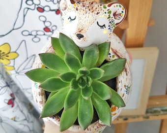Plantador de osos, Mini plantador, Mamá oso, Decoración de otoño, Plantador de animales de otoño, Oso de peluche, Decoración del hogar, Plantador suculento, Habitación para niños,