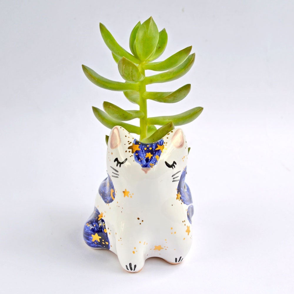 Jardinière Pour Chats,