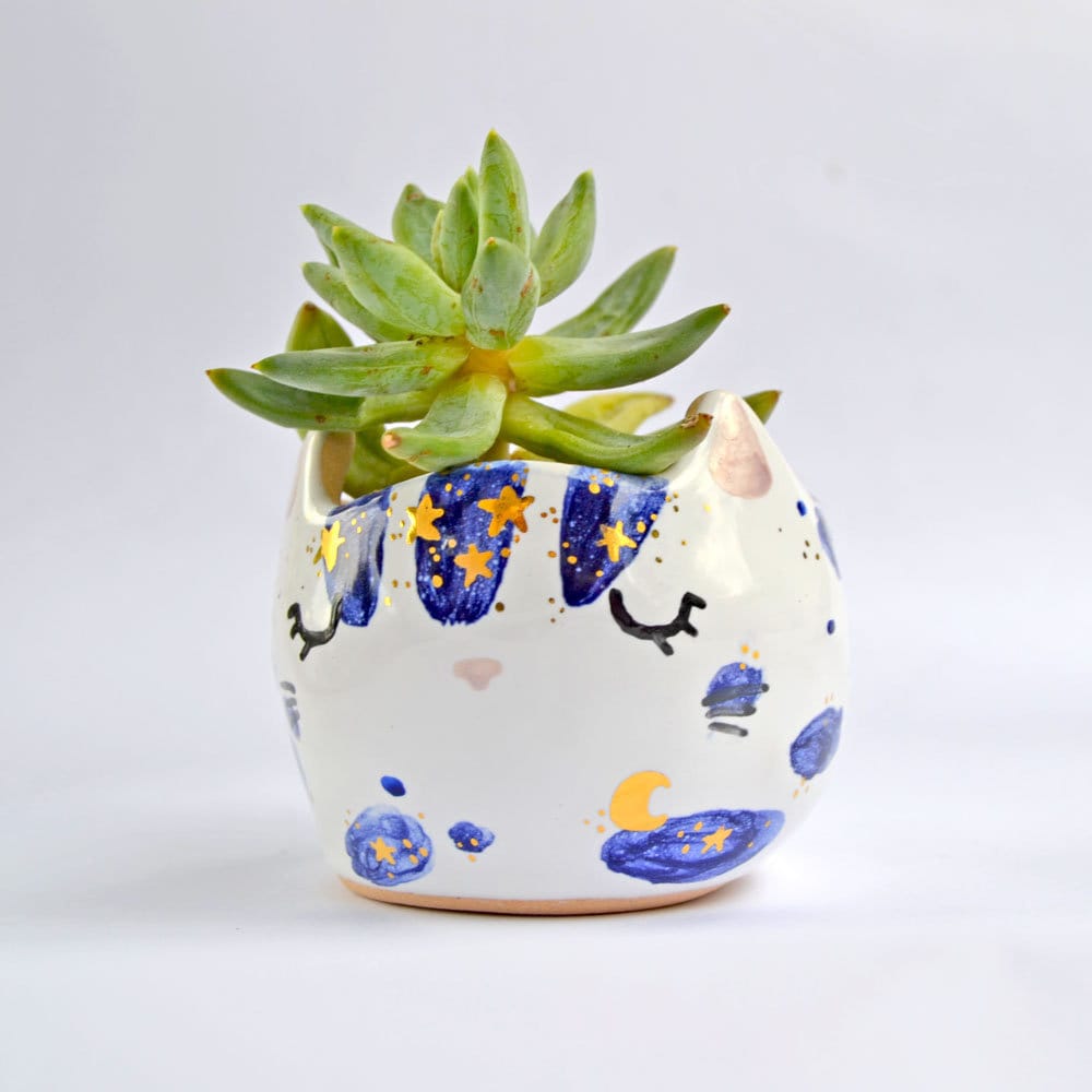 Jardinière Pour Chat,