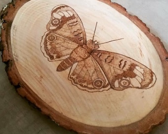 Wood burned butterfly