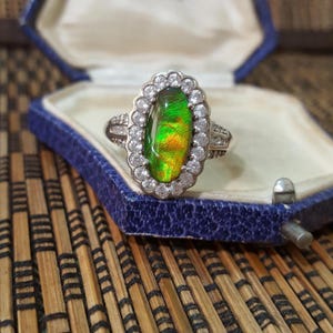 925 Sterling Silver Ring, Genuine Canadian Ammolite Ring, Size V.5 US 10.75