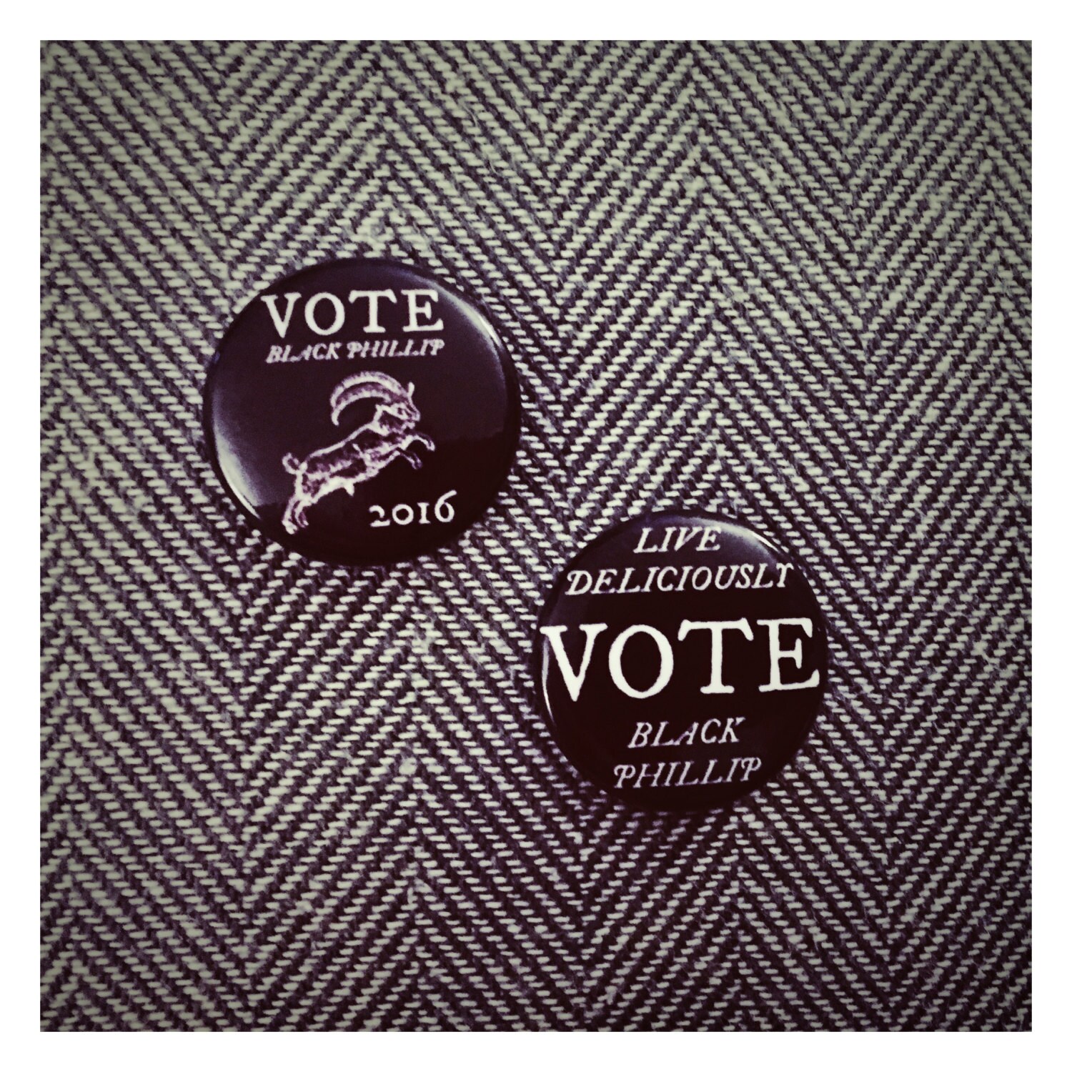 Vote Black Phillip 1-inch Pin Button Set