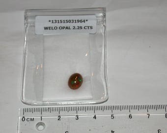 Cherry Chocolate Suprise