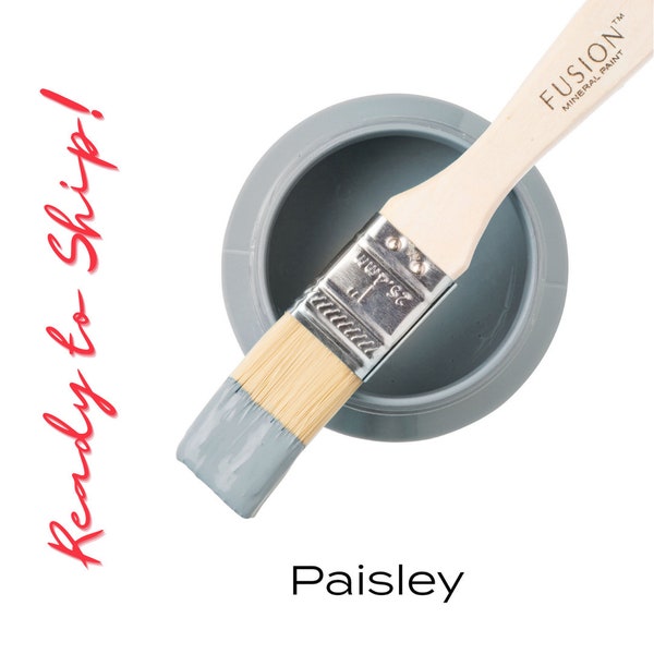 Fusion Mineral Paint PAISLEY, Furniture Upcycling, DIY Project Paint, Eco Conscious Paint, All in One Paint, Cabinet Paint for DIYers, Fast