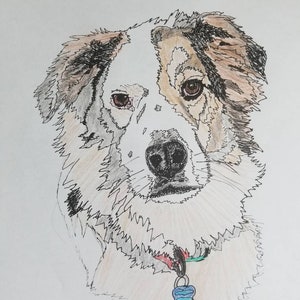 Design My Dog,Pet Portraits, Pillows, Totes, Wall Art, Fabric Trays image 2