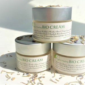 Organic Healing BIO CREAM / perfect day cream
