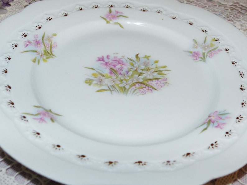 2509 BRC Fidelio Germany Desert Plate Vintage Fine Bone China