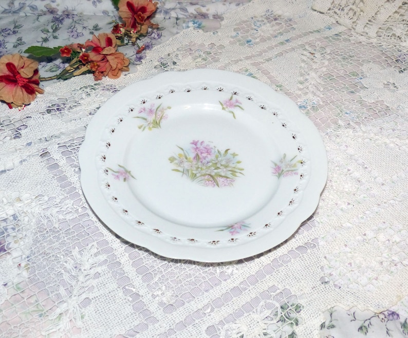 2509 BRC Fidelio Germany Desert Plate Vintage Fine Bone China