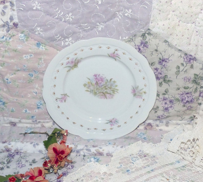 2509 BRC Fidelio Germany Desert Plate Vintage Fine Bone China