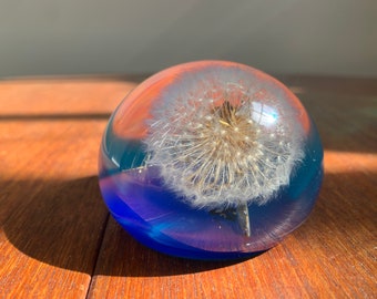 Vintage Lucite Dandelion paperweight mod nature Canadiana