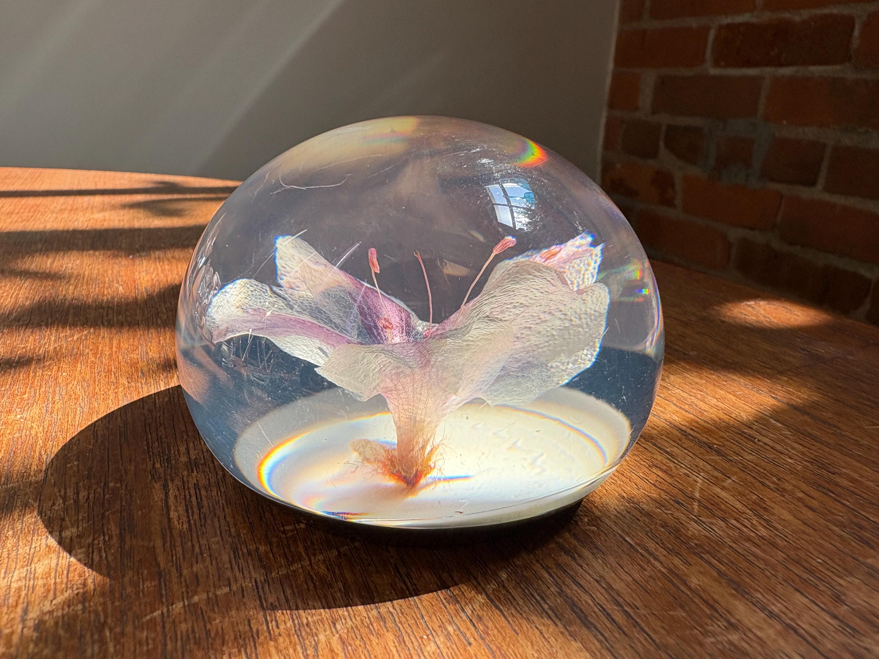 Vintage lucite paperweight Rhododendron suspended art piece
