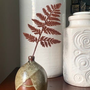 Puede incluir: Un pequeño jarrón de cerámica marrón con un esmalte moteado. El jarrón está lleno de un solo helecho marrón.