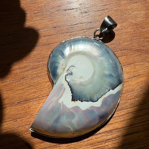 Vintage nautilus shell pendant sterling silver mounted