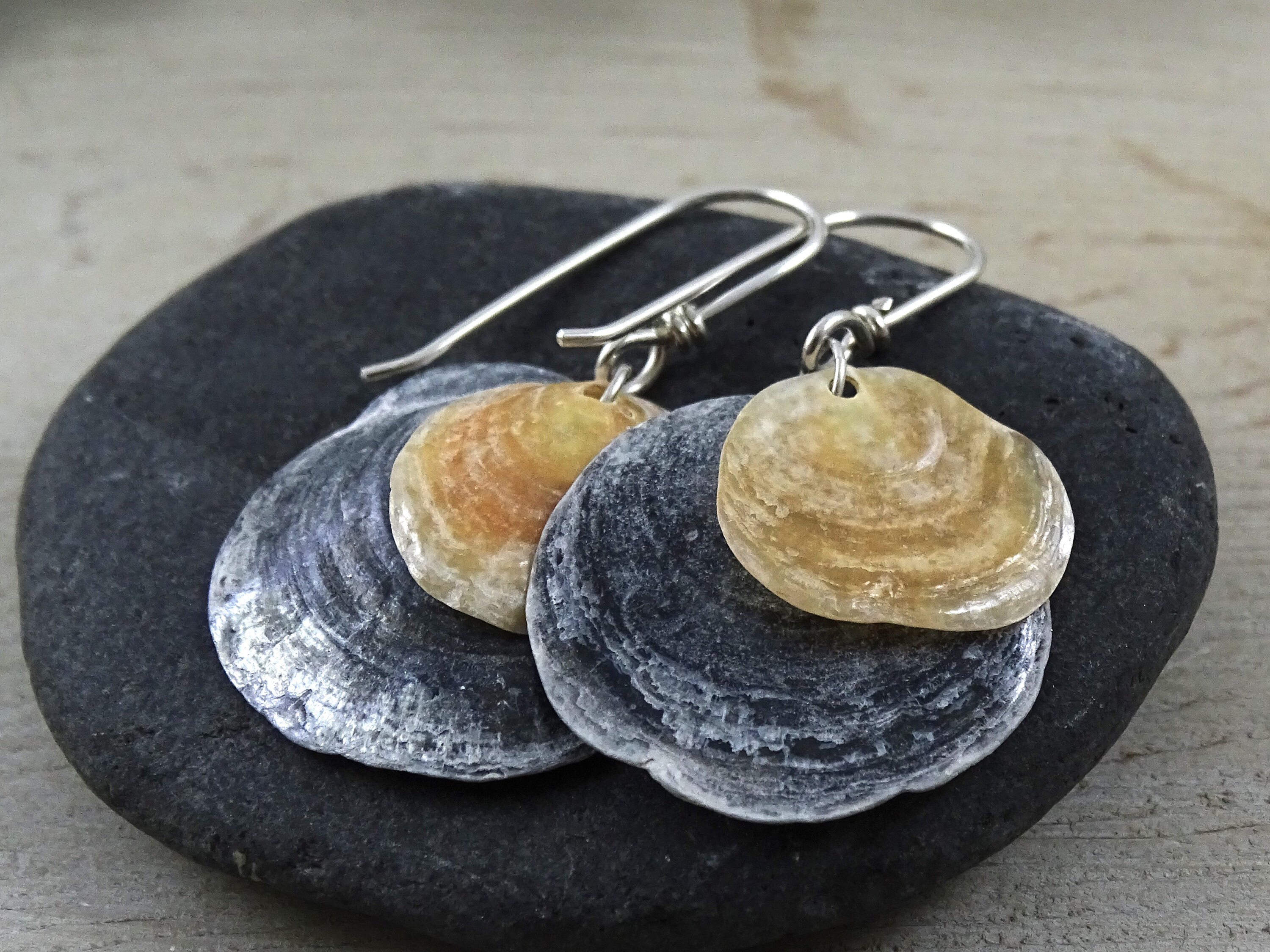 Jingle Shell Earrings | Natural Disc Jewelry | Gray and