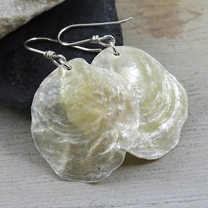 May include: A pair of iridescent white shell earrings with silver hooks. The shells are translucent and have a natural, organic shape.