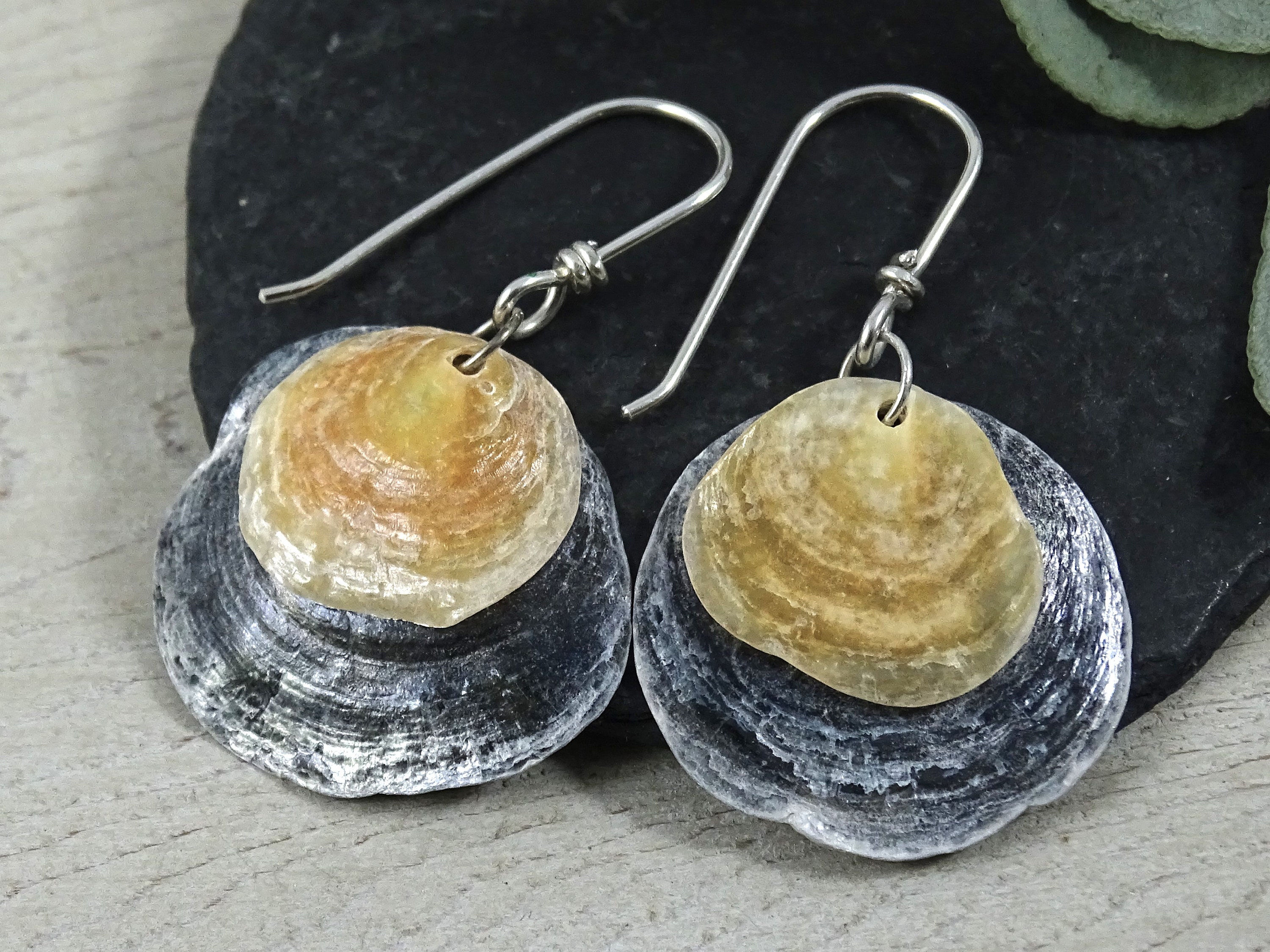 Jingle Shell Earrings | Natural Disc Jewelry | Gray and