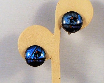 May include: Round stud earrings with a striking blue and black design. The earrings showcase a detailed landscape image with a tree and sunset. They are displayed on a beige earring stand.
