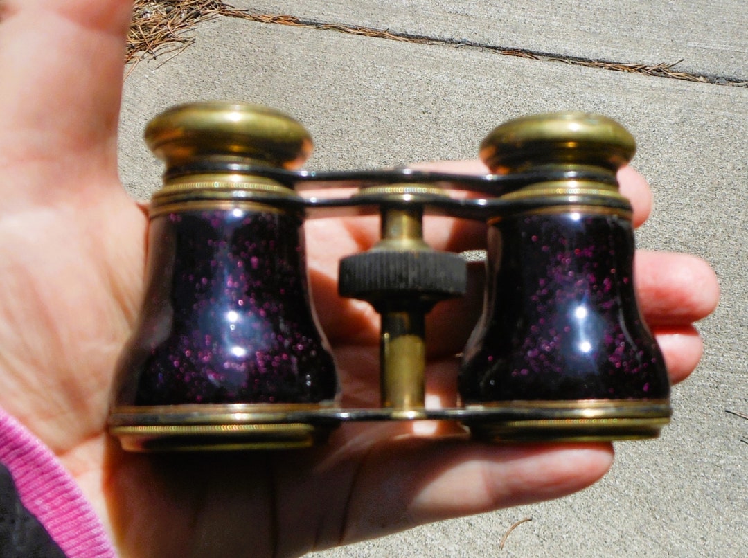 Antique Opera Glasses or Mini Binoculars Made by La Reine Casing is
