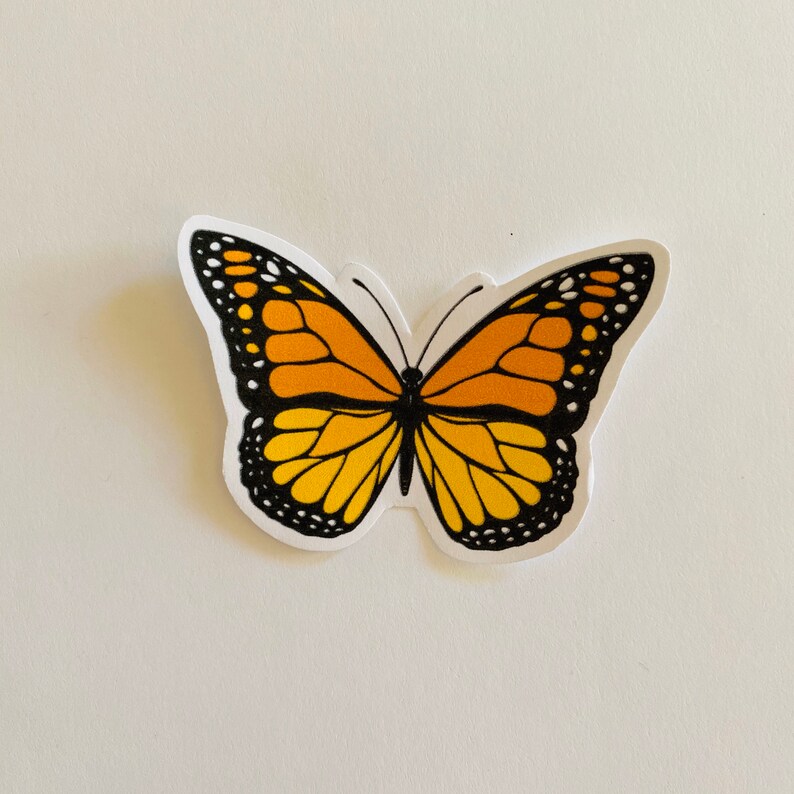 classic butterfly aesthetic stickers trendy stickers