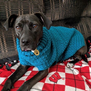 Crochet Dog Sweater