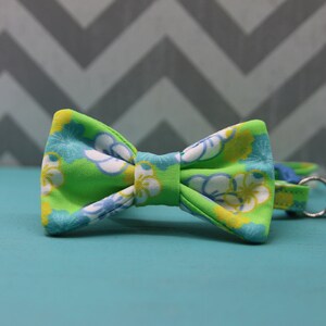 Collar con pajarita de gato - Papel tapiz floral de motel - Breakaway con campana