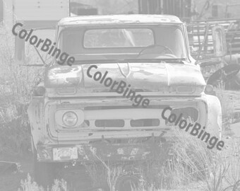 Camión de Color el oeste Rural Tuerto, carcachas, Junkers y Jalopies - libro para colorear para adultos en escala de grises