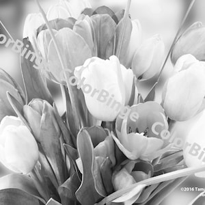 Tulpen - Ausmalbild für Erwachsene