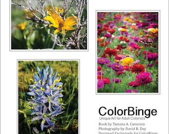 Colorea el oeste rural - Flores, salvajes y domésticas - Un libro para colorear en escala de grises para adultos