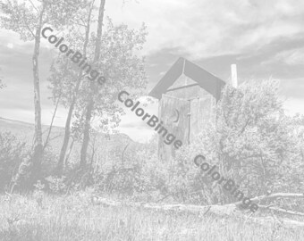 Letrina de Color el oeste Rural, carcachas, Junkers y Jalopies - página para colorear para adultos en escala de grises