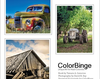 Colorea el Oeste Rural, Clunkers, Junkers y Jalopies: un libro para colorear en escala de grises para adultos