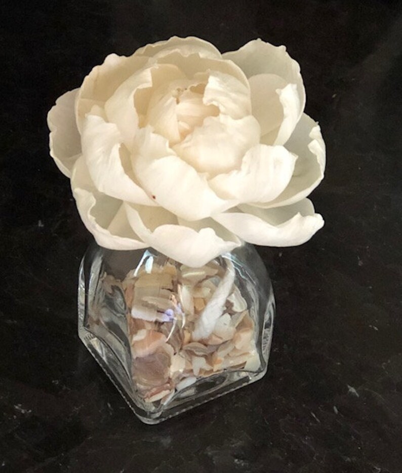May include: A white porcelain flower sits atop a clear glass jar filled with small white and brown seashells. The jar has a hexagonal base.