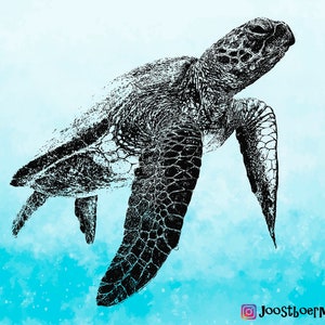 Turtle SVG - Turtle PNG - Turtle clipart - Animal SVG - Turtle cut files for cricut - Svg files