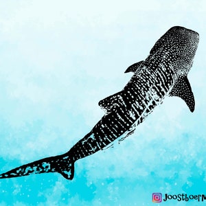 whale shark SVG, whale shark DXF, whale shark, Whales shark vector , Vector SVG, ocean animal svg, whale shark cut files for cricut